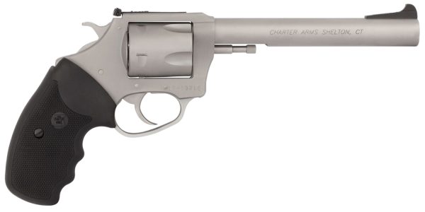 CHA 79960 PITBULL         9MM 6.0 5SHOT AS      SS