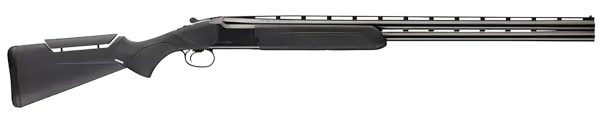 BRN 018331303 CIT COMPOSITE       12 3     30  BLK
