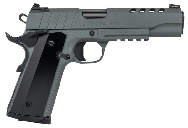 SDS.10100537 1911 N-STALKER SF 10 5.0 GRAY RL  8/8