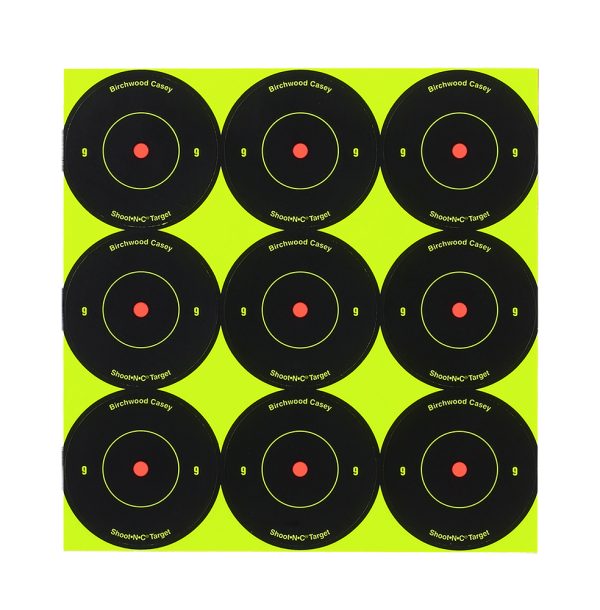 BIR 34210          SHOOT-N-C 2″  BULLSEYE    108PK