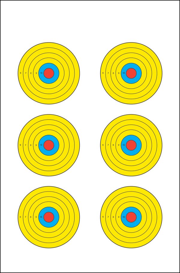 ACTION PRBE6100       VISL 6BLLSYE TARGET    100BX