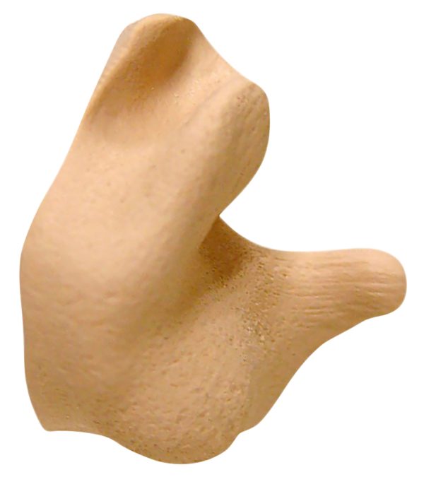 RAD CEP002-T    CUST MOLDED EARPLUGS TAN