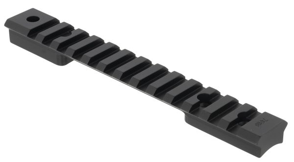 WARNE 768820MOA M-T PIC RAIL WIN XPR SA 20MOA