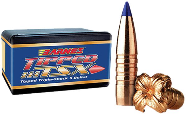 BRNS 30424                .338   160 TPD TSX FB 50