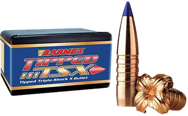 BRNS 30642                .458   300 TPD TSX BT 50