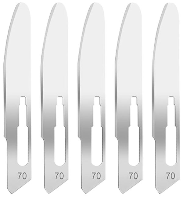 HOG 35887   EXPEL SCALPEL #70 STYLE BLADES