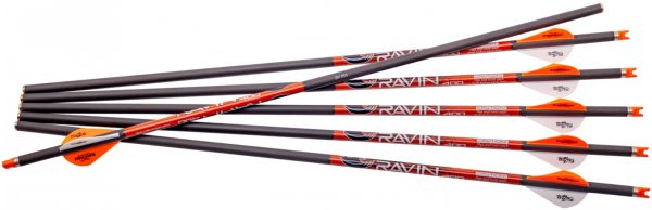 RAVIN R138   ARROWS 400GR. 6 PK .003