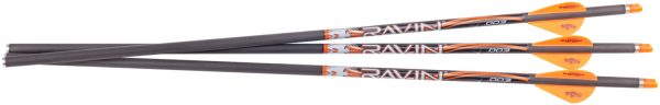 RAVIN R133   MATCH WGHT LGHTD ARROWS 400GR 003 3PK